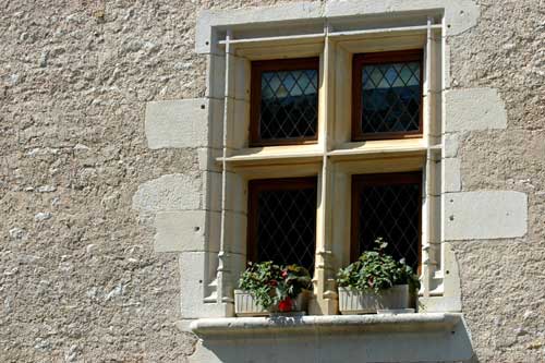 Image Image