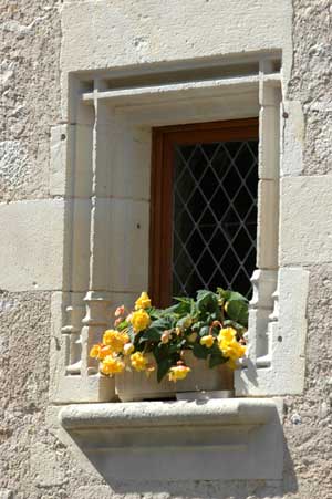 Image Image